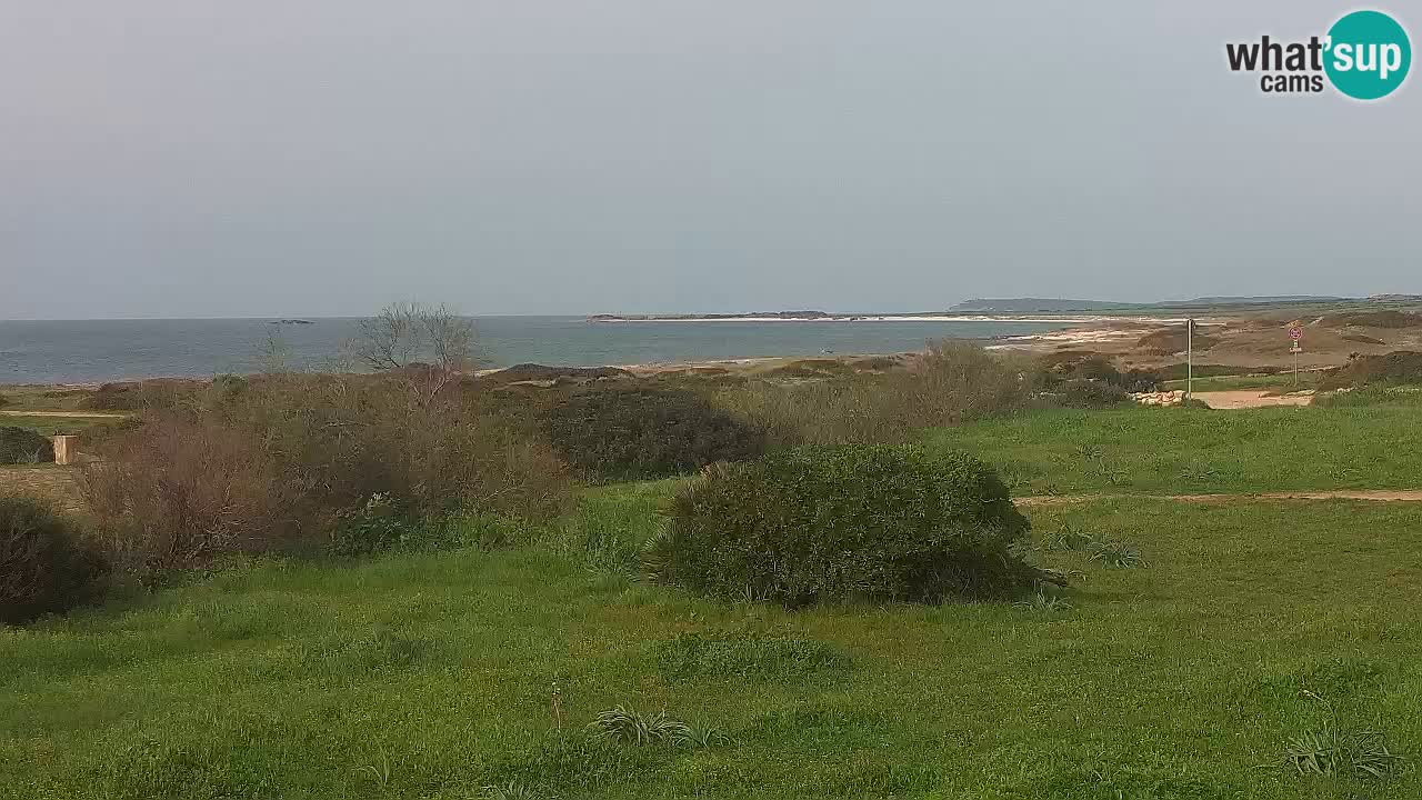 Mari Ermi beach | Is Arutas – Oristano