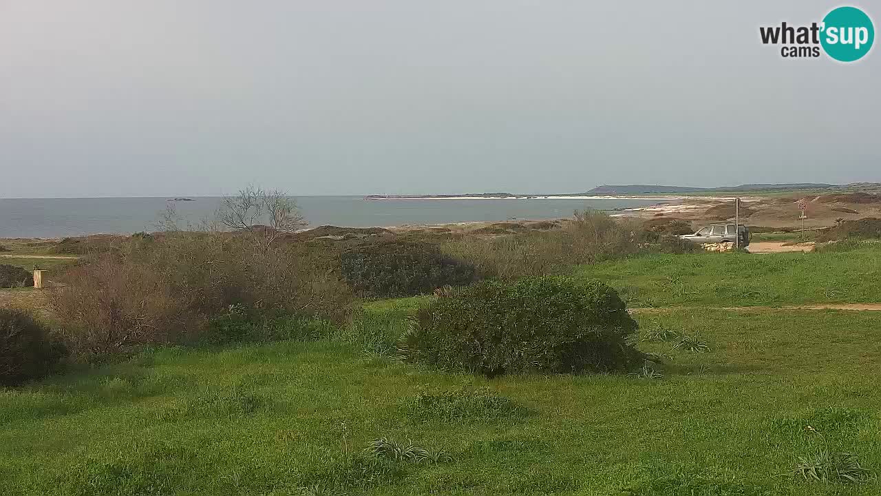 Mari Ermi beach | Is Arutas – Oristano