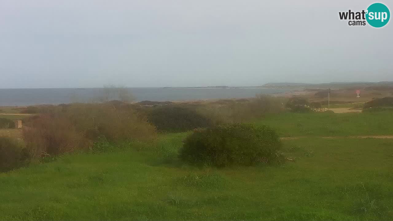 Plage Mari Ermi | Is Arutas – Oristano