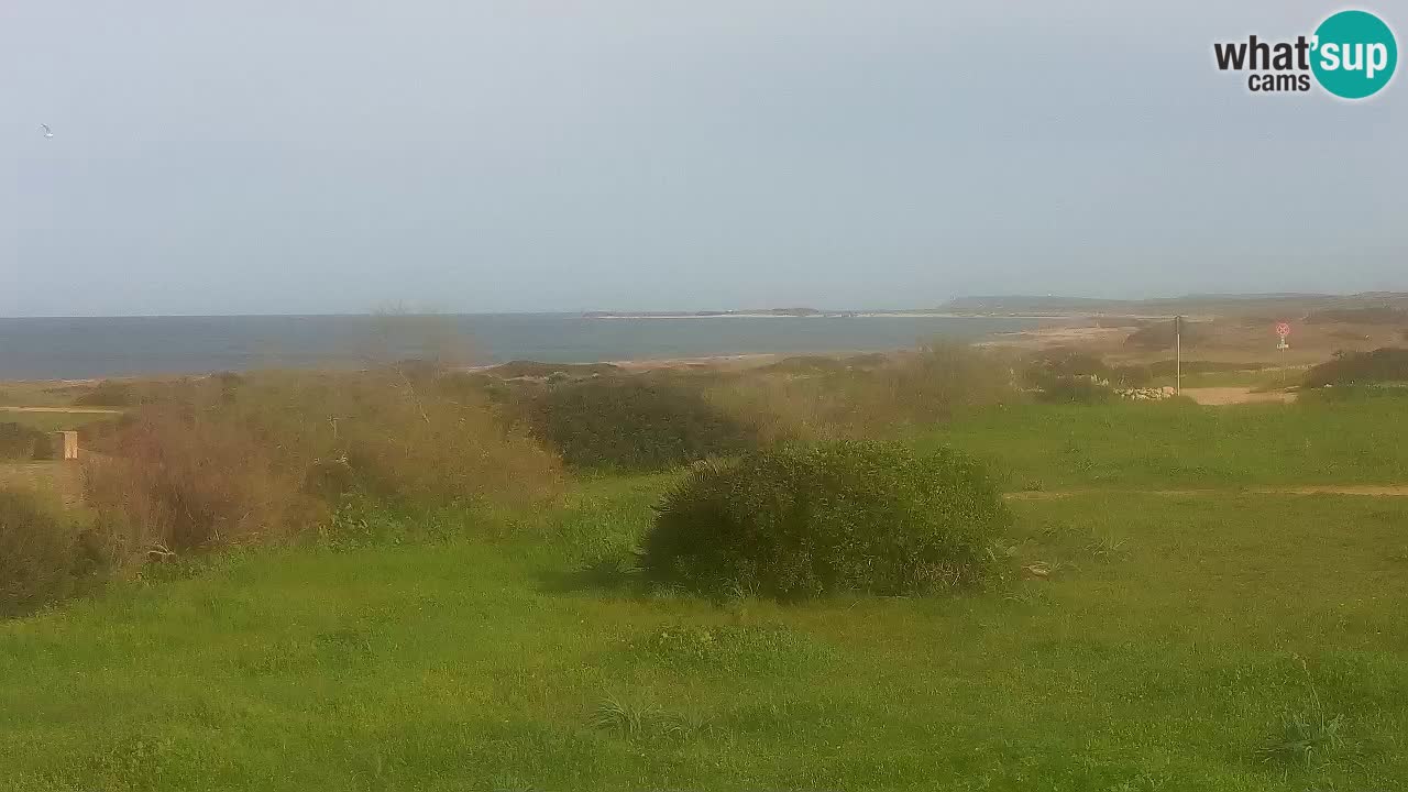 Playa Mari Ermi | Is Arutas – Oristano