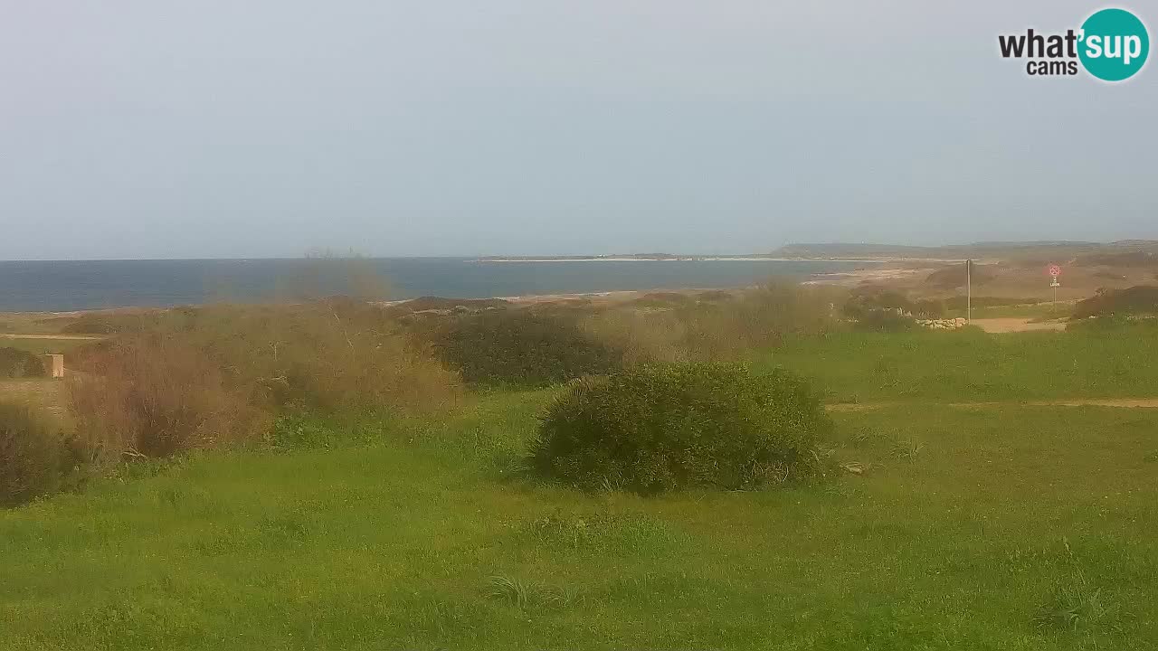 Plaža Mari Ermi | Is Arutas – Oristano