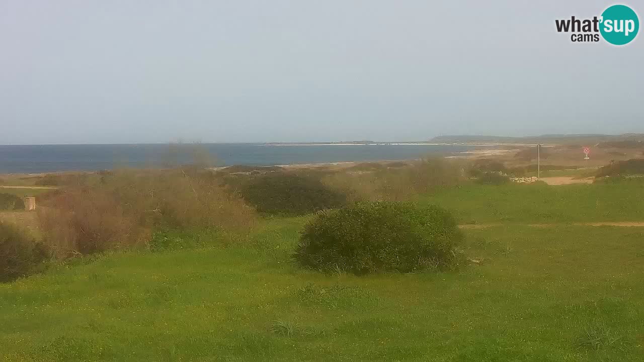 Mari Ermi beach | Is Arutas – Oristano