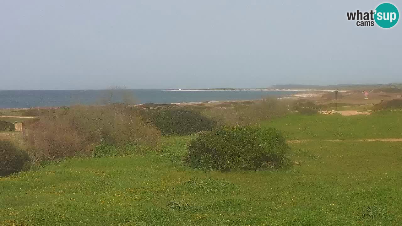 Mari Ermi Strand | Is Arutas – Oristano