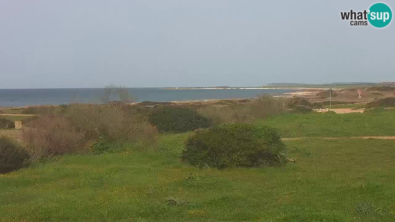 Spiaggia Mari Ermi | Is Arutas – Oristano