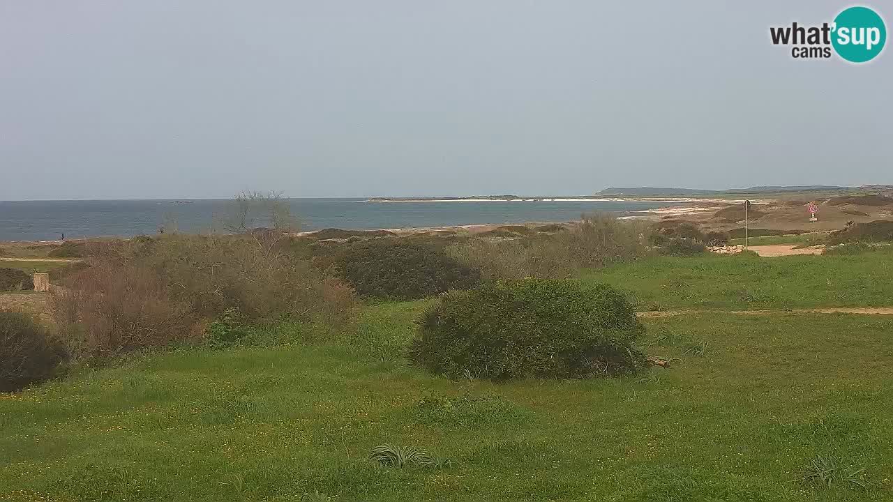 Plaža Mari Ermi | Is Arutas – Oristano