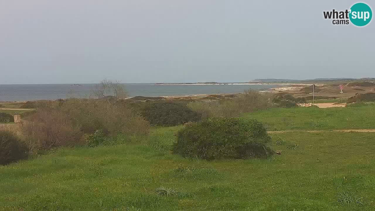 Playa Mari Ermi | Is Arutas – Oristano