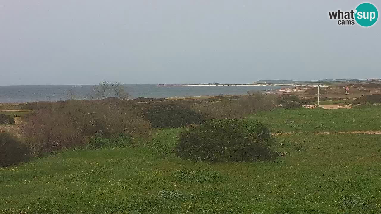 Playa Mari Ermi | Is Arutas – Oristano