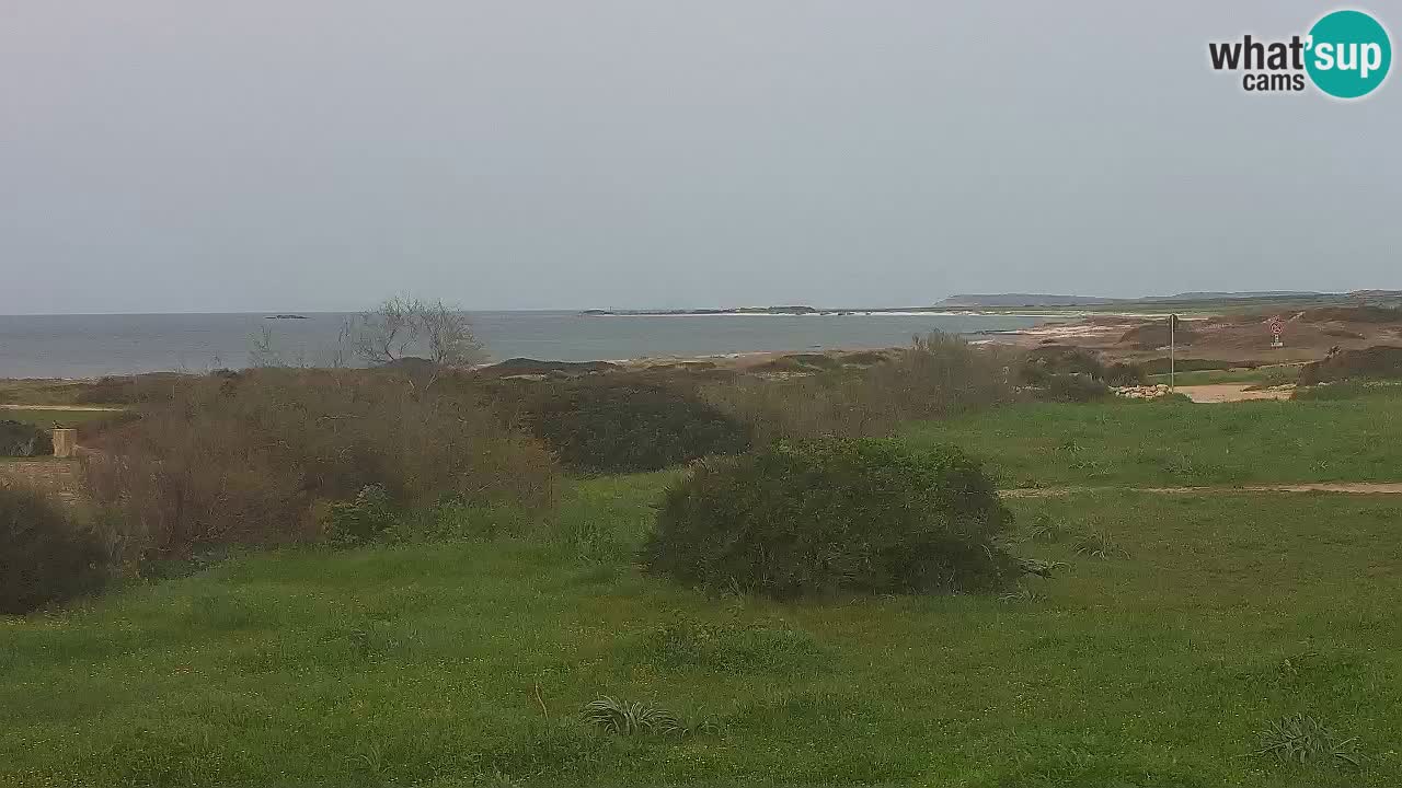 Spiaggia Mari Ermi | Is Arutas – Oristano