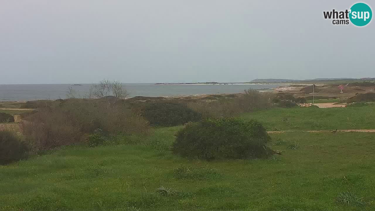 Mari Ermi beach | Is Arutas – Oristano