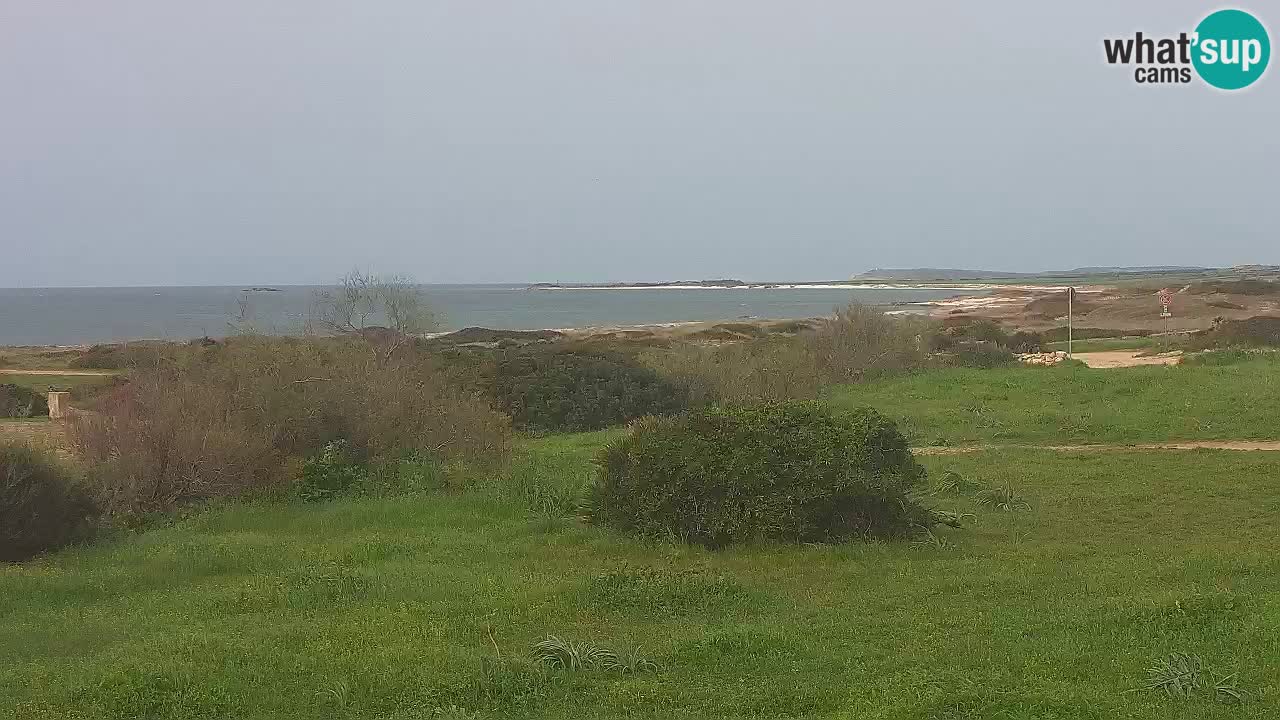 Playa Mari Ermi | Is Arutas – Oristano