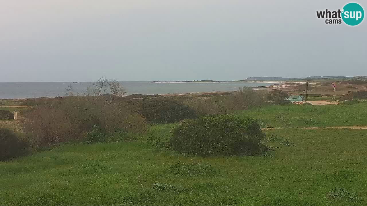 Plaža Mari Ermi | Is Arutas – Oristano