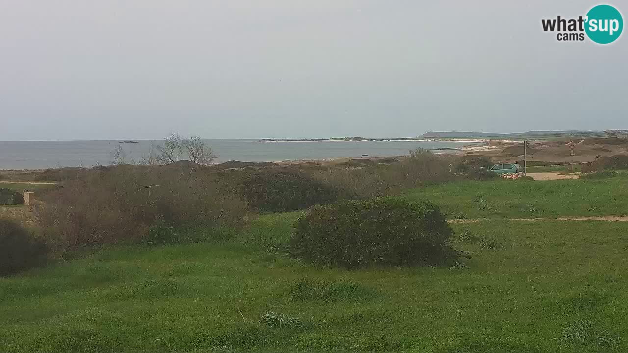 Playa Mari Ermi | Is Arutas – Oristano