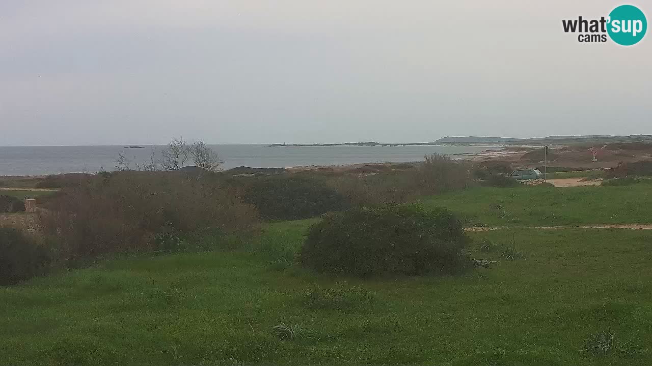 Plaža Mari Ermi | Is Arutas – Oristano