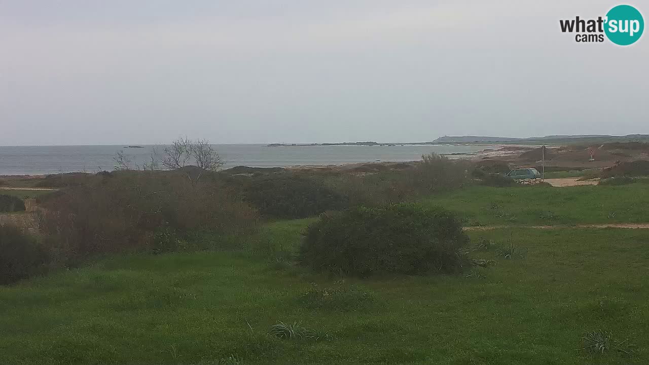 Plaža Mari Ermi | Is Arutas – Oristano