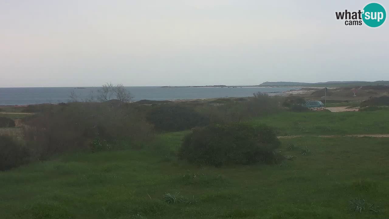 Playa Mari Ermi | Is Arutas – Oristano