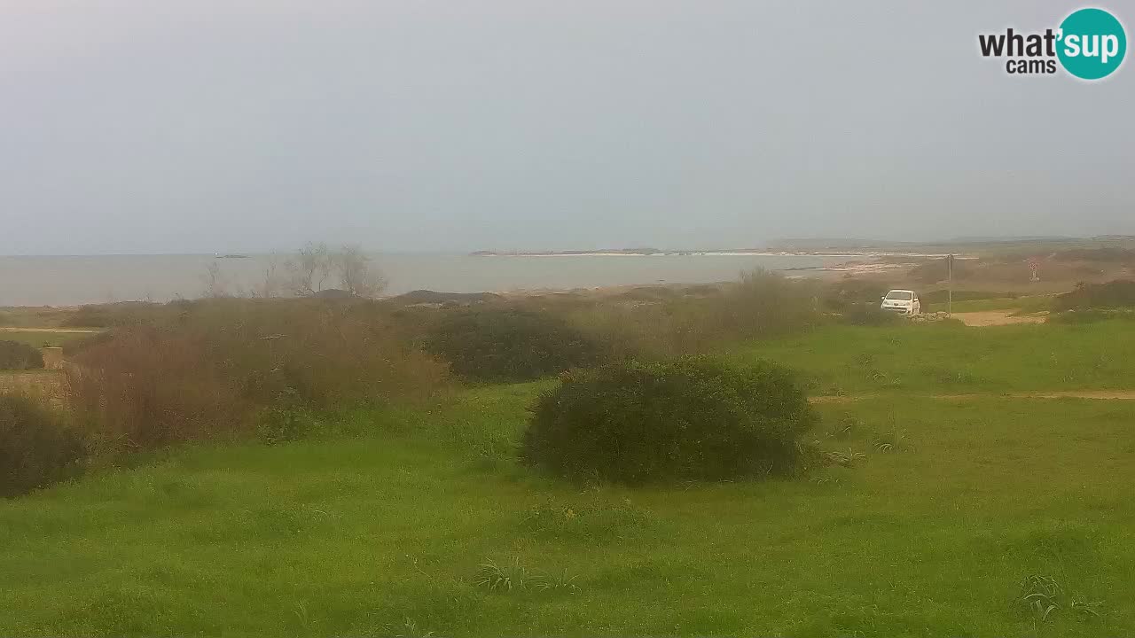 Playa Mari Ermi | Is Arutas – Oristano