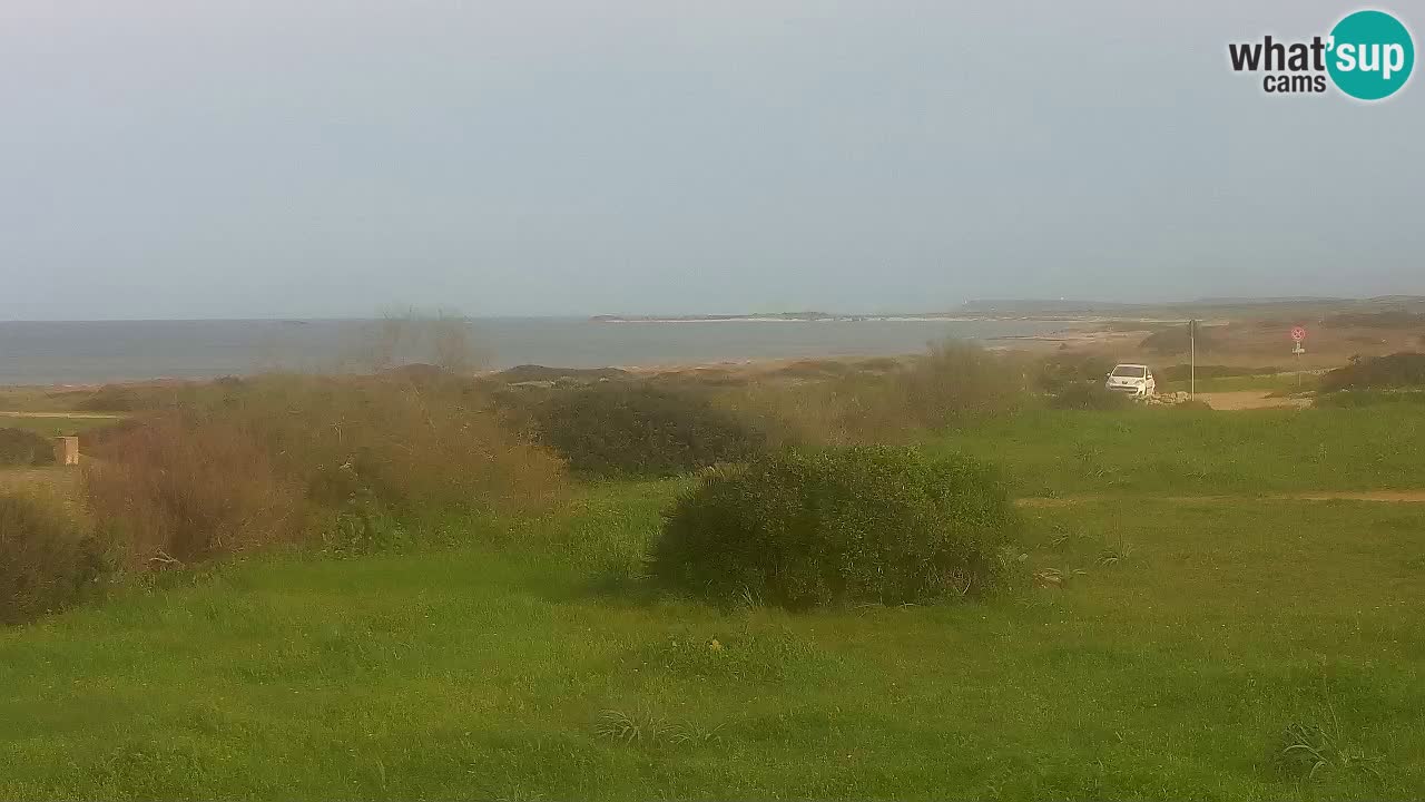 Plaža Mari Ermi | Is Arutas – Oristano