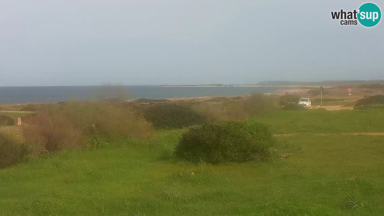 Plage Mari Ermi | Is Arutas – Oristano