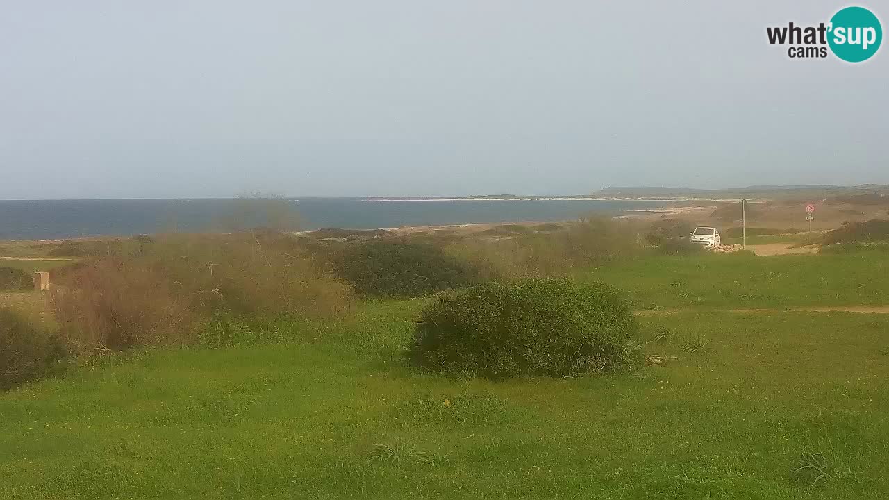 Mari Ermi beach | Is Arutas – Oristano