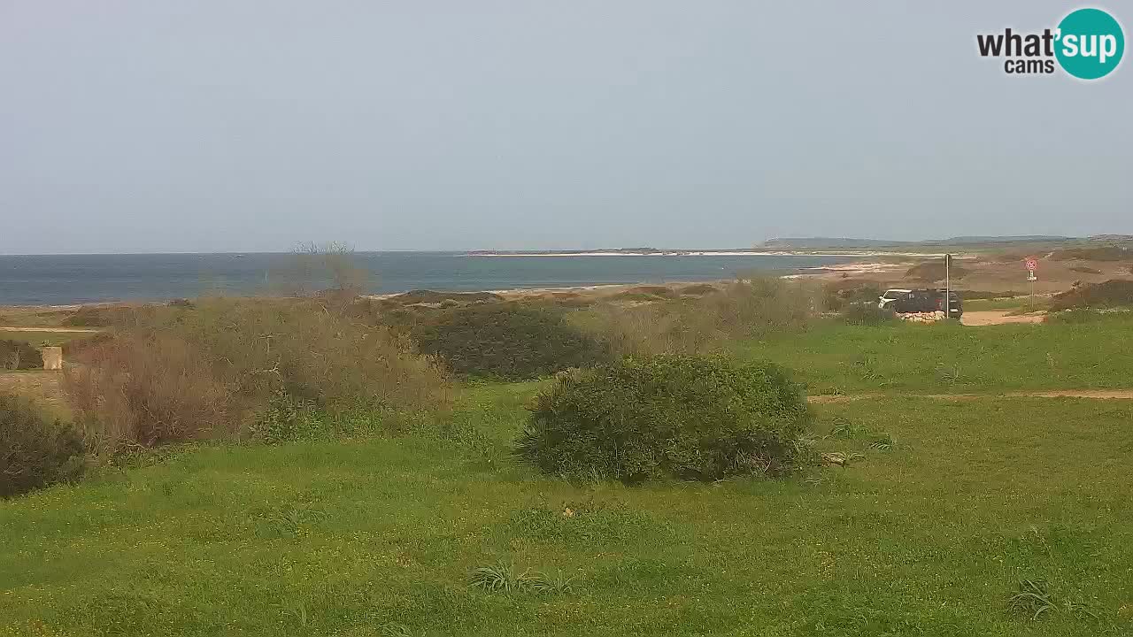 Plaža Mari Ermi | Is Arutas – Oristano