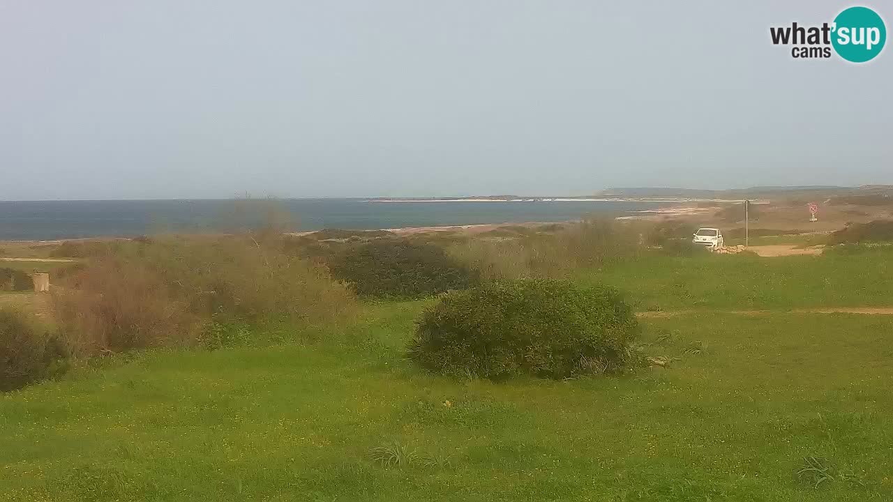 Mari Ermi beach | Is Arutas – Oristano