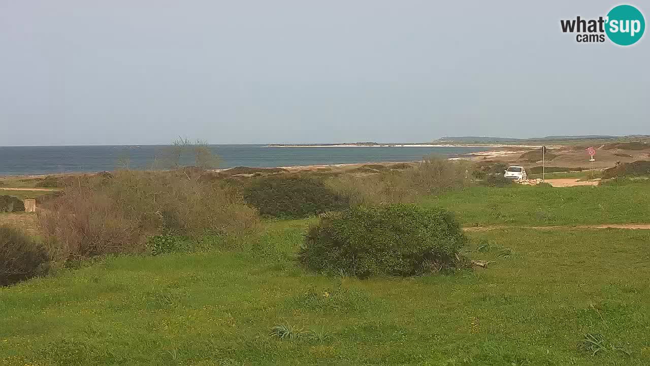 Plaža Mari Ermi | Is Arutas – Oristano