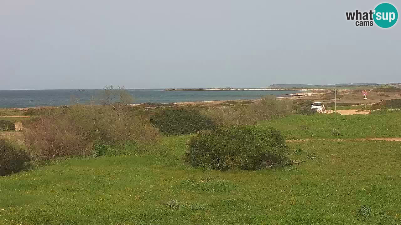 Mari Ermi Strand | Is Arutas – Oristano