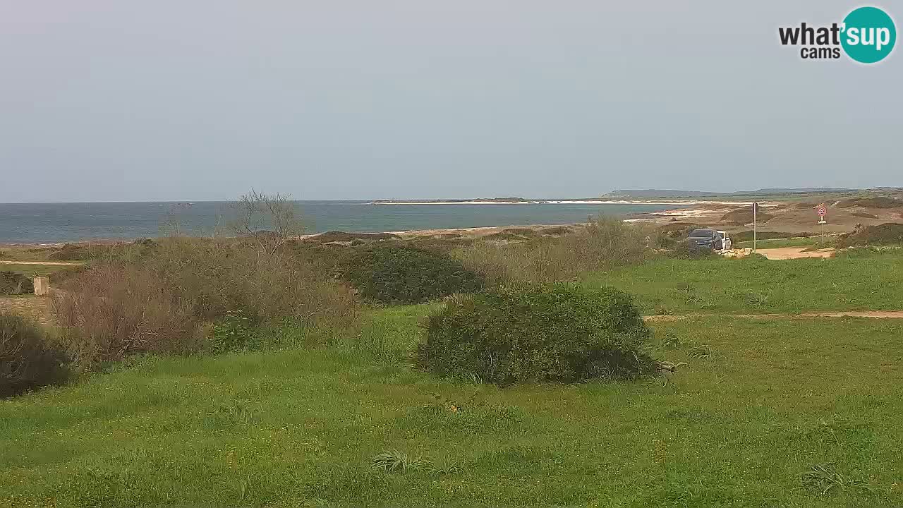 Plage Mari Ermi | Is Arutas – Oristano