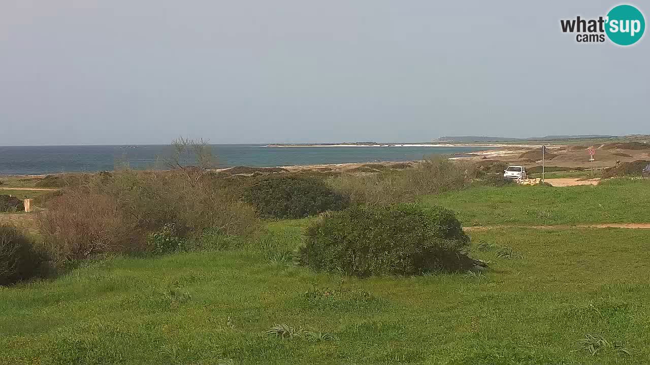 Plage Mari Ermi | Is Arutas – Oristano