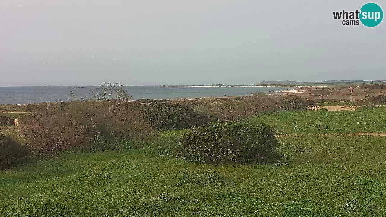 Plage Mari Ermi | Is Arutas – Oristano