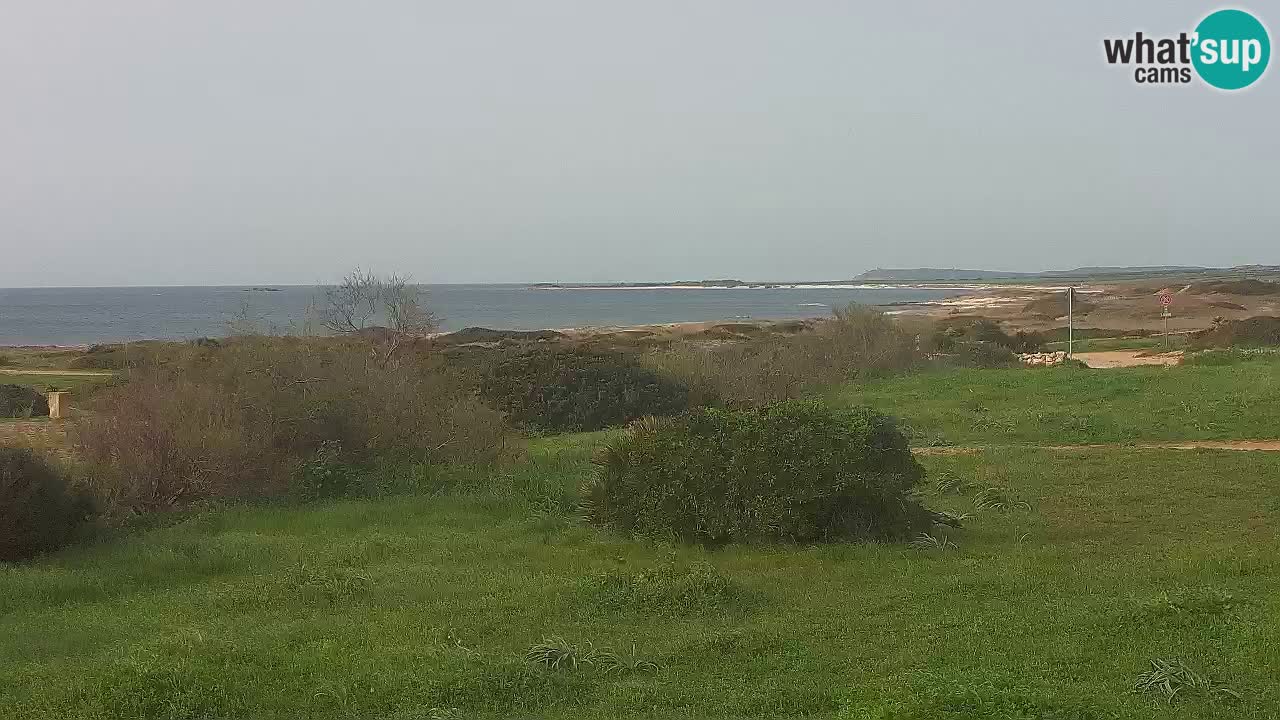 Plage Mari Ermi | Is Arutas – Oristano