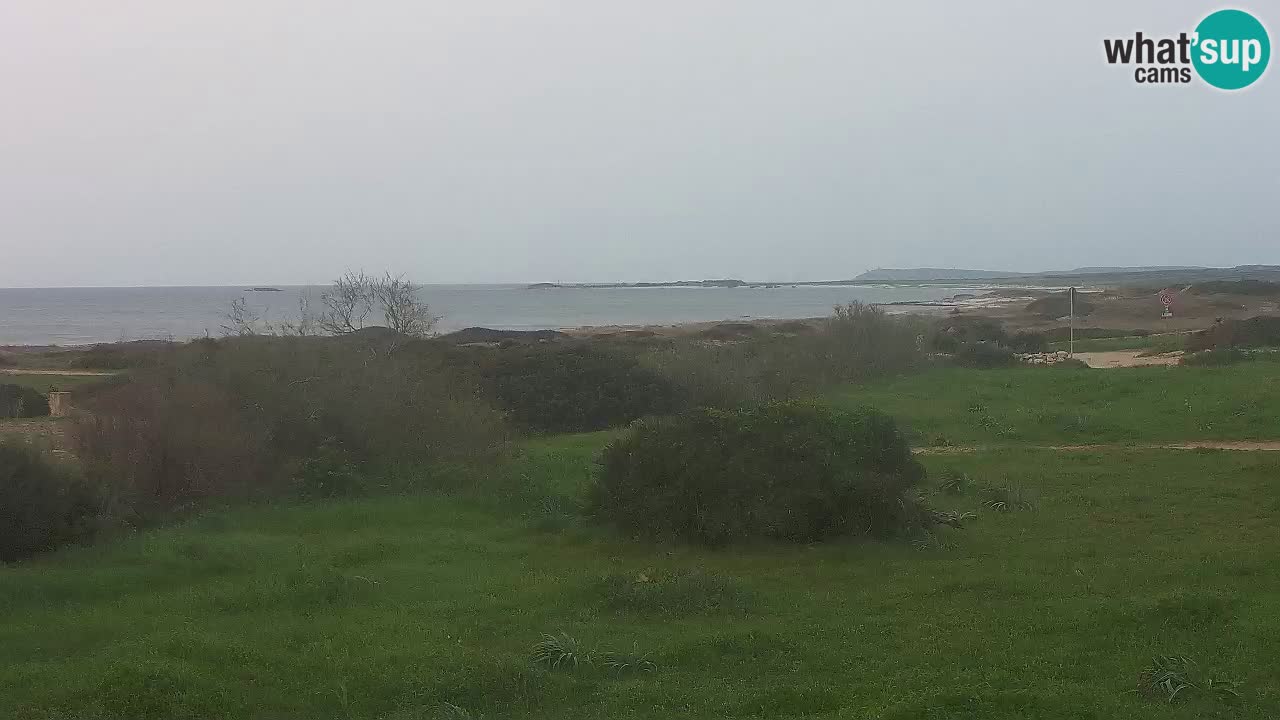Spiaggia Mari Ermi | Is Arutas – Oristano