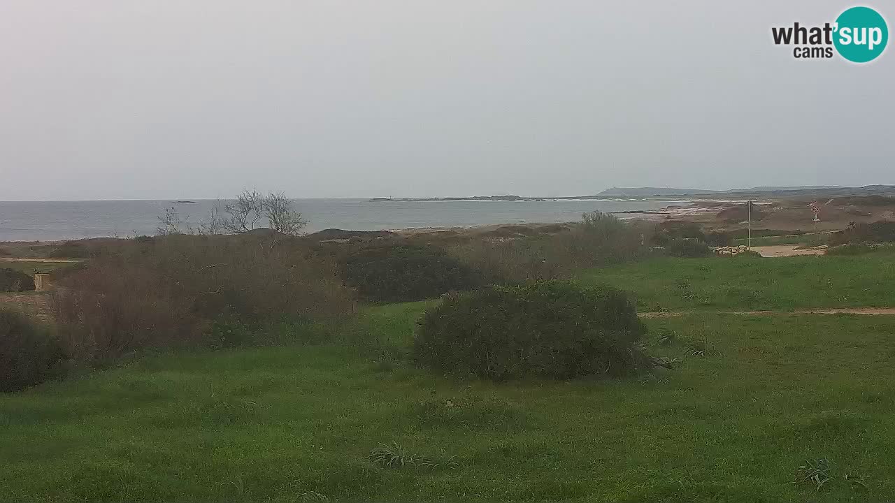 Plaža Mari Ermi | Is Arutas – Oristano