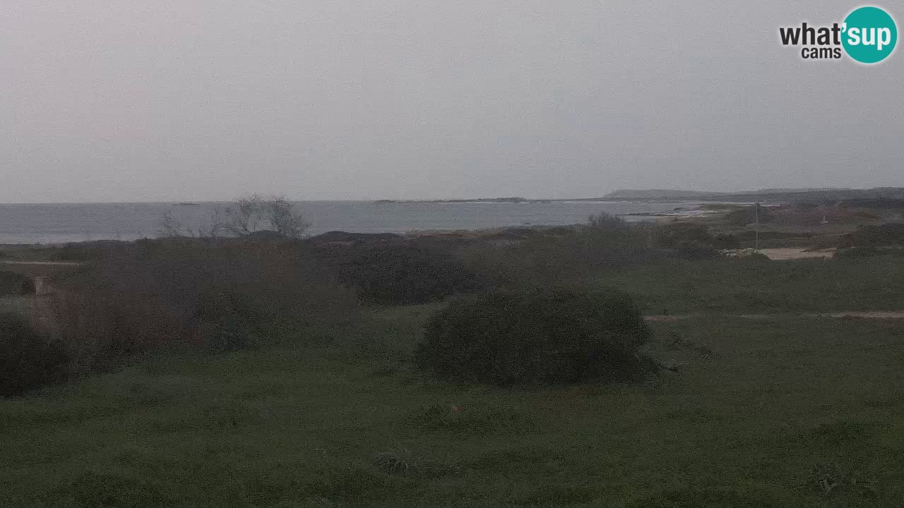 Mari Ermi Strand | Is Arutas – Oristano