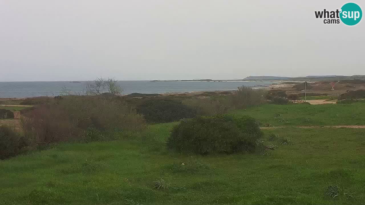 Plaža Mari Ermi | Is Arutas – Oristano