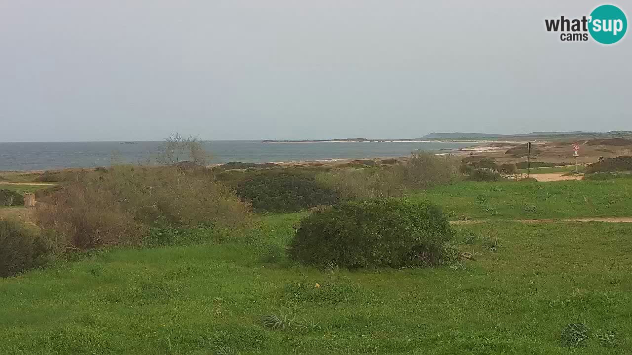 Plaža Mari Ermi | Is Arutas – Oristano