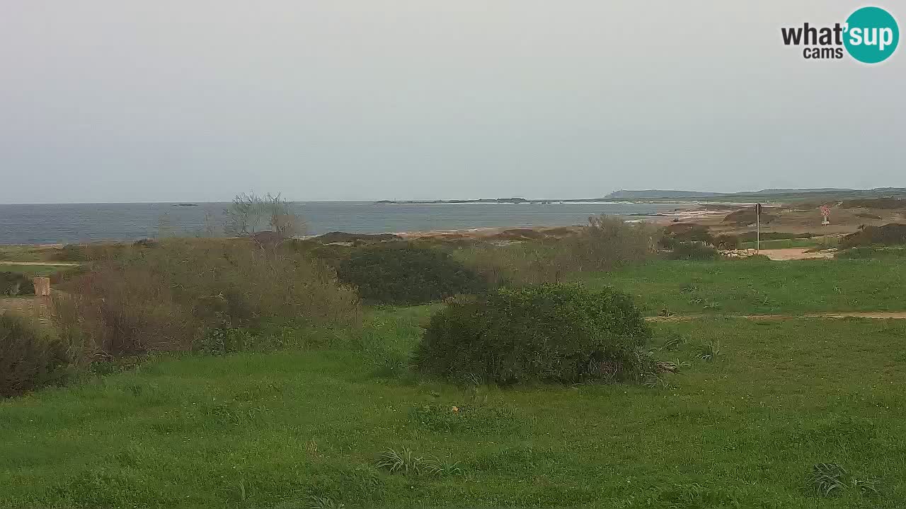 Playa Mari Ermi | Is Arutas – Oristano