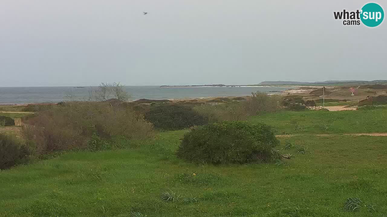 Plaža Mari Ermi | Is Arutas – Oristano