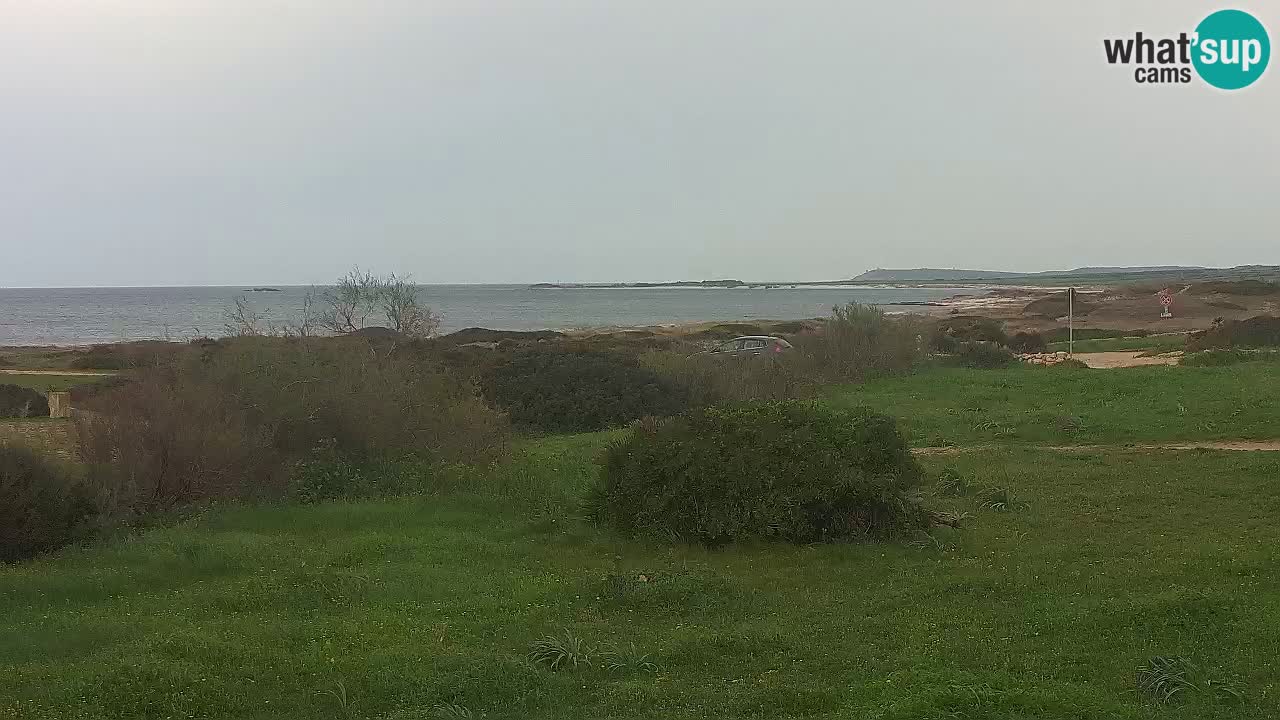 Plaža Mari Ermi | Is Arutas – Oristano