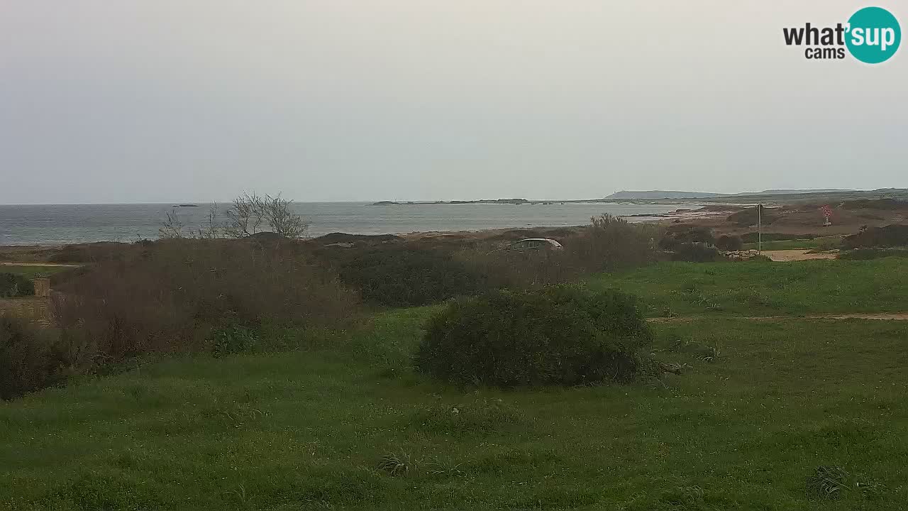 Playa Mari Ermi | Is Arutas – Oristano