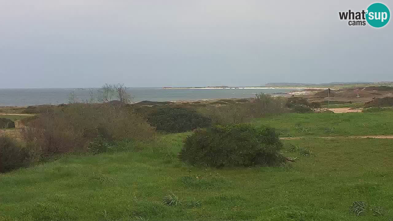 Plaža Mari Ermi | Is Arutas – Oristano