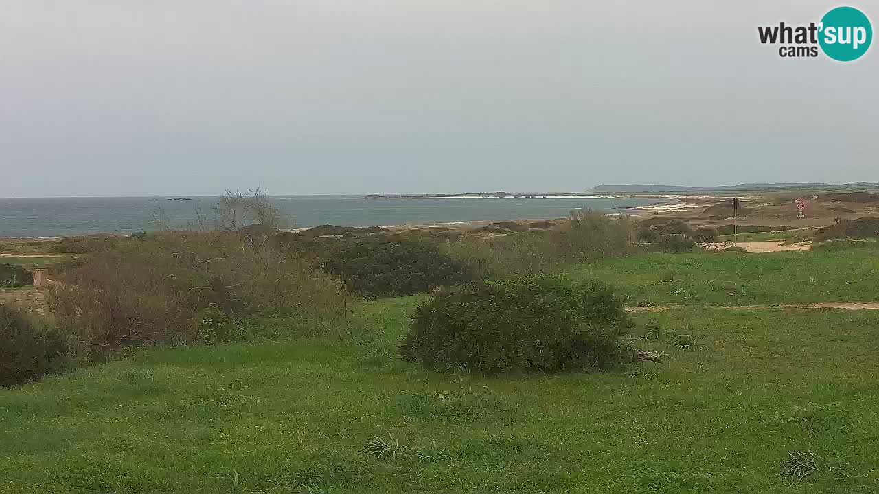 Plage Mari Ermi | Is Arutas – Oristano