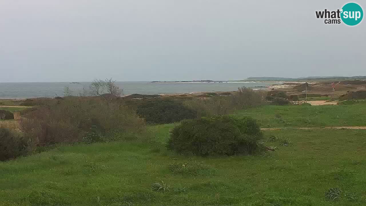 Mari Ermi Strand | Is Arutas – Oristano