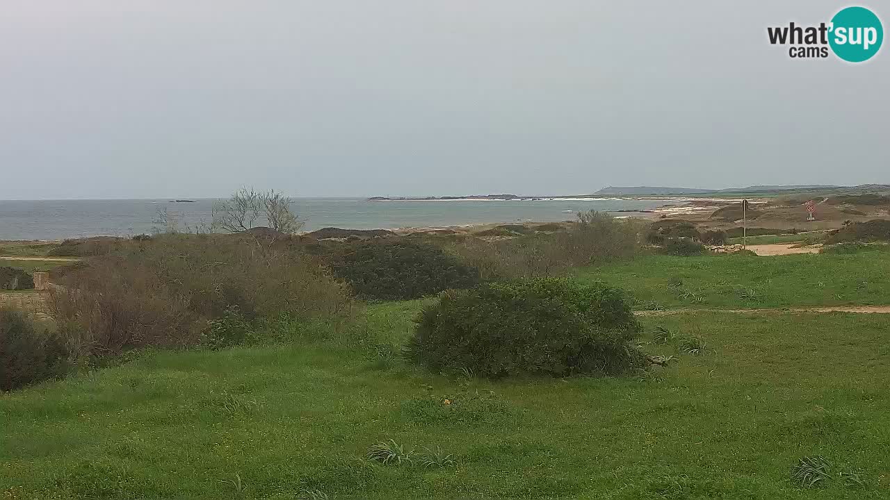 Mari Ermi beach | Is Arutas – Oristano