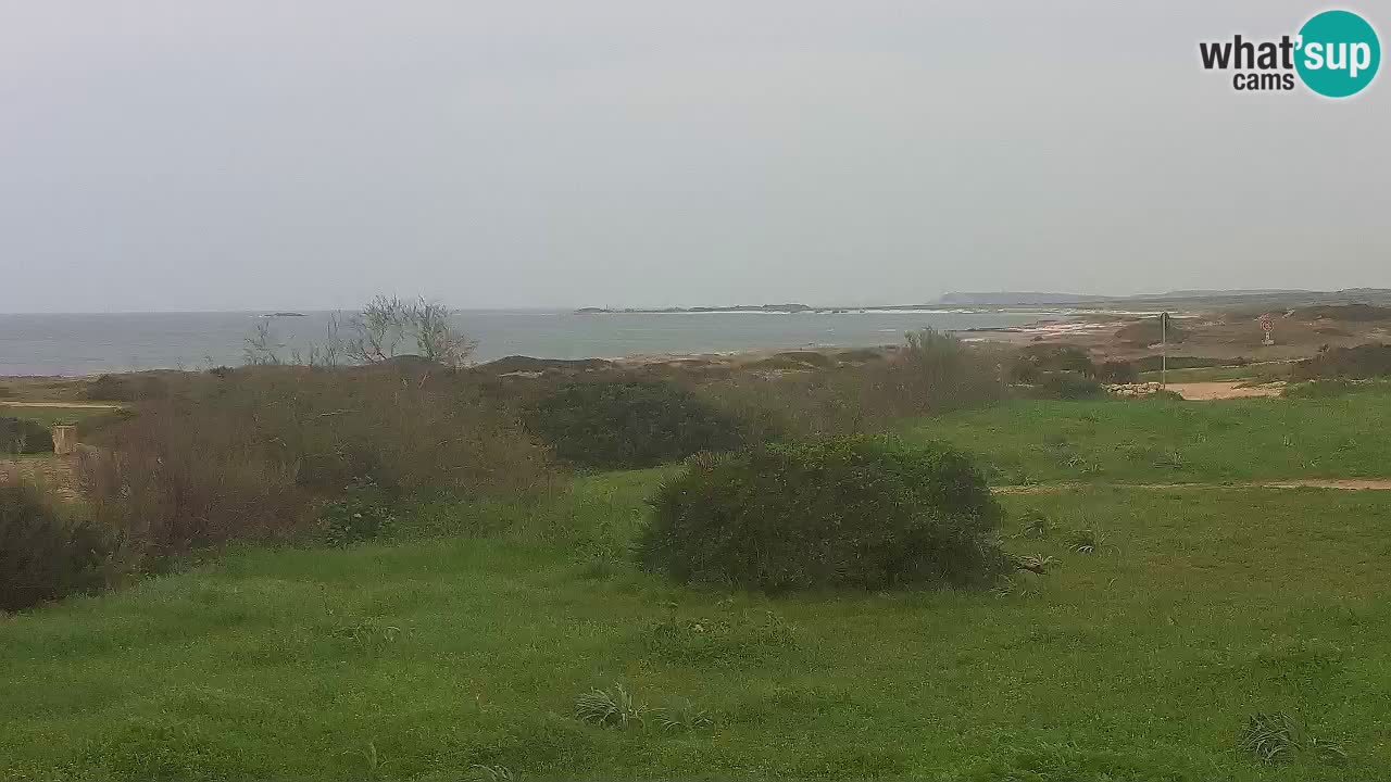 Plaža Mari Ermi | Is Arutas – Oristano