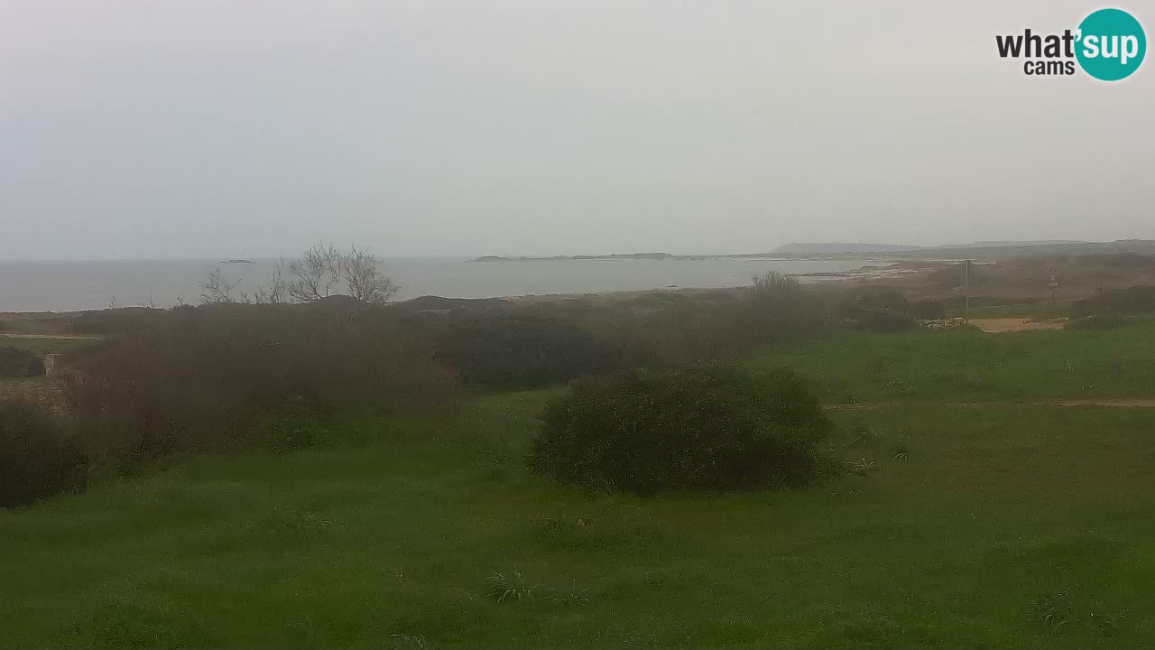 Plaža Mari Ermi | Is Arutas – Oristano