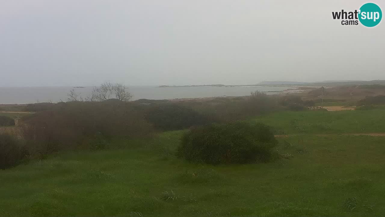 Plaža Mari Ermi | Is Arutas – Oristano