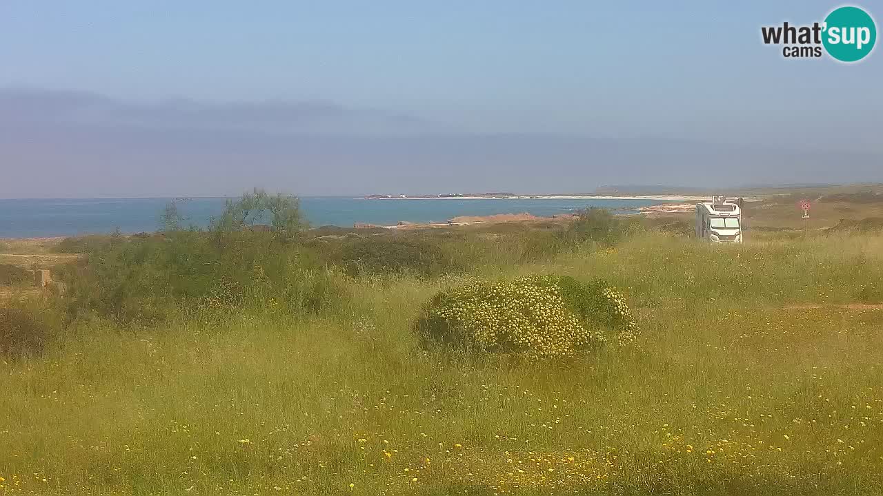 Plaža Mari Ermi | Is Arutas – Oristano