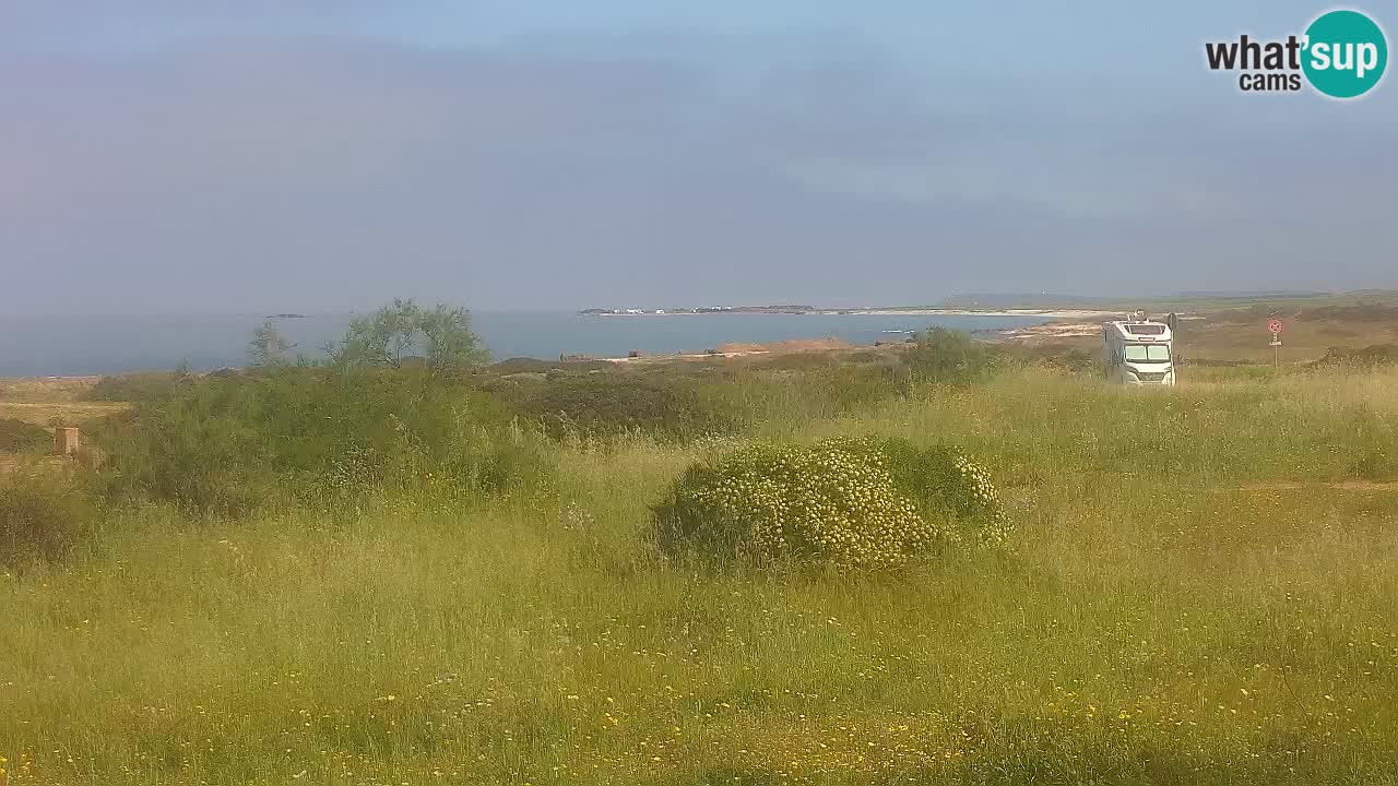 Playa Mari Ermi | Is Arutas – Oristano