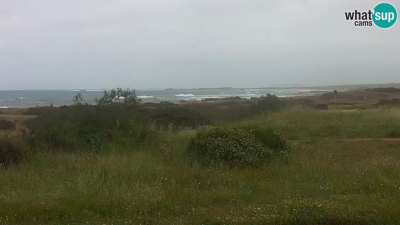 Mari Ermi Strand | Is Arutas – Oristano